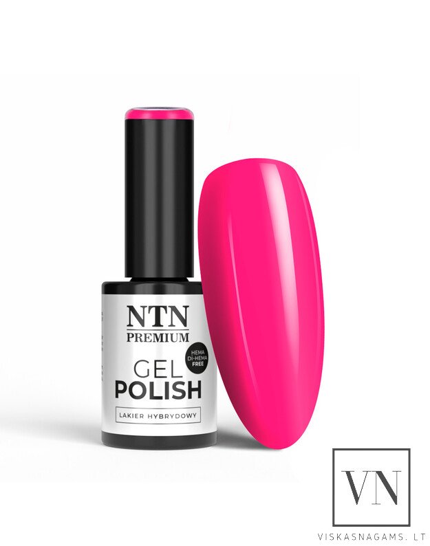 NTN gelinis lakas, Nr.174