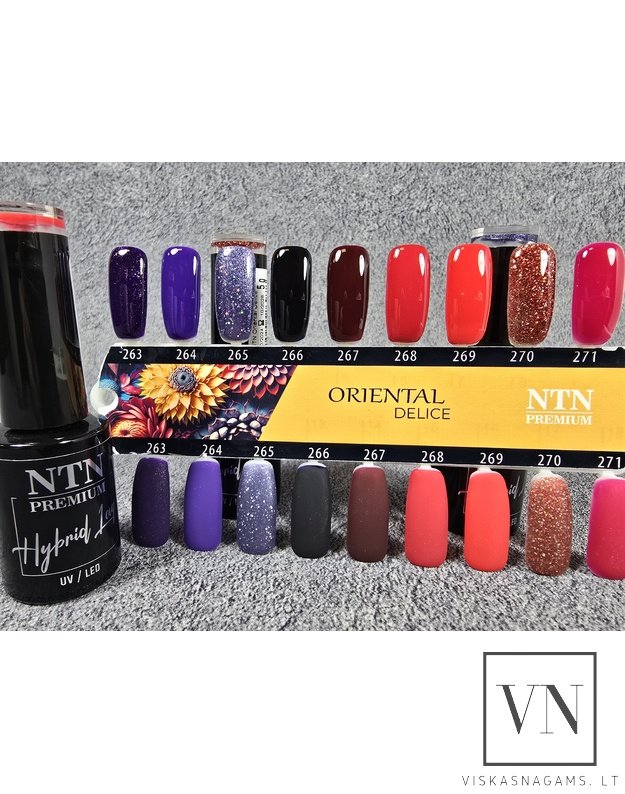 Gelinis lakas  NTN PREMIUM, Nr.268