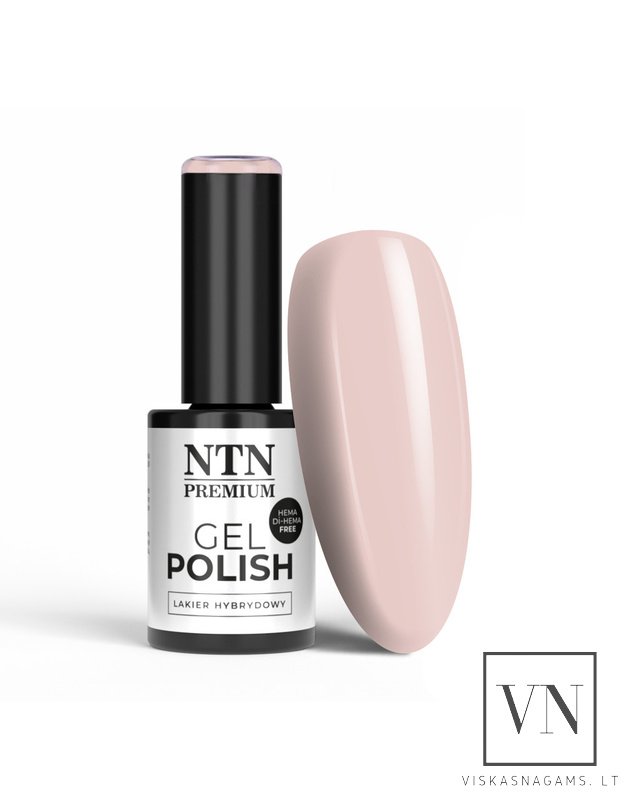 NTN gelinis lakas, Nr.304