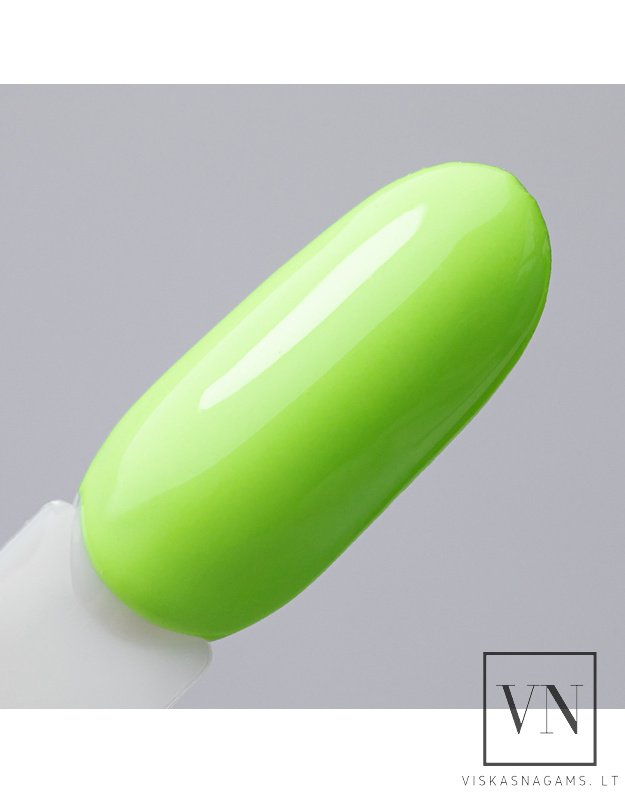 NTN gelinis lakas, Nr.379 1