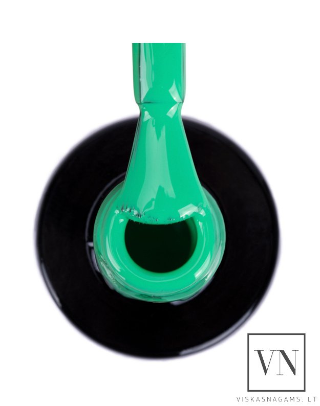 NTN gelinis lakas, Nr.417 1