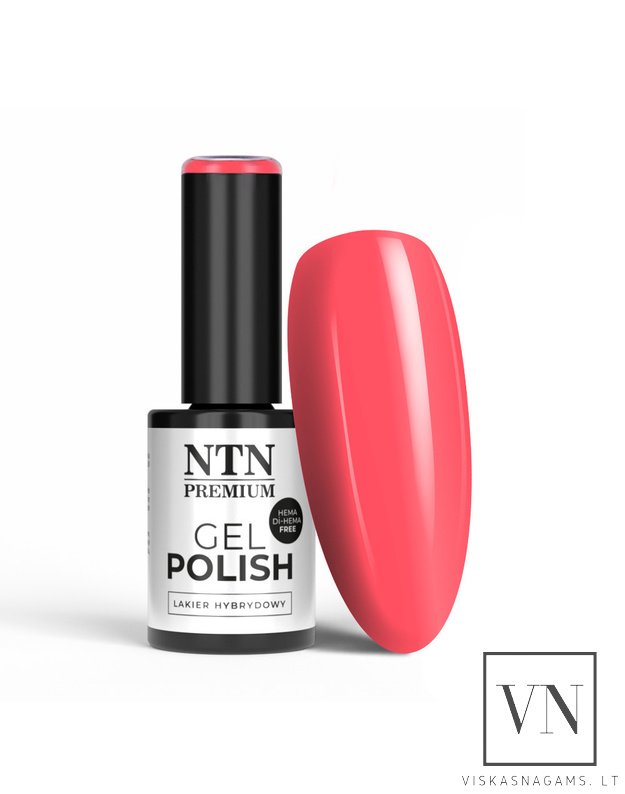 NTN gelinis lakas, Nr.38