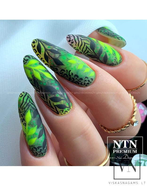 NTN PREMIUM gelinis lakas, Nr.76