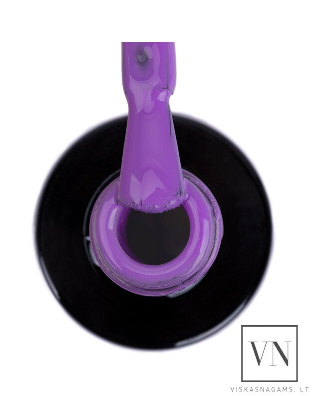 NTN gelinis lakas, Nr.173 1