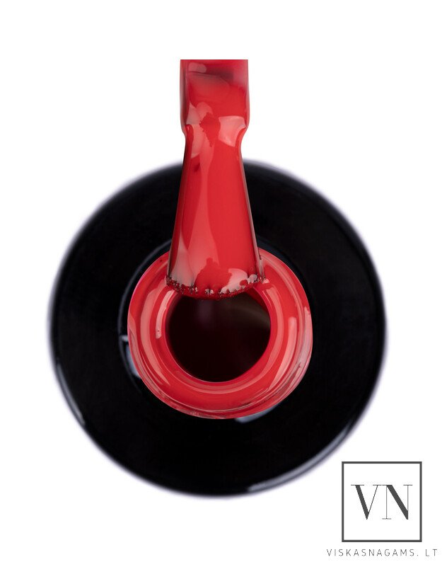 NTN gelinis lakas, Nr.269 1