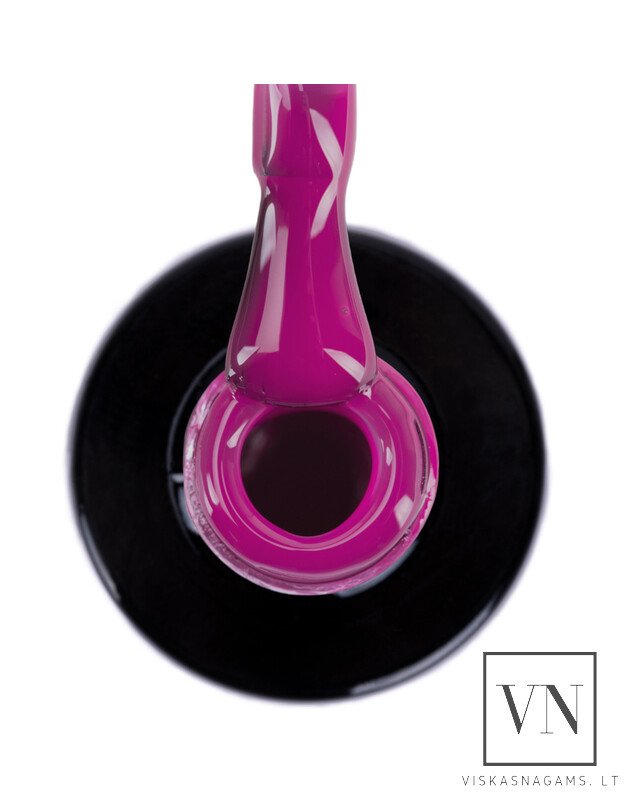 NTN gelinis lakas, Nr.293 1