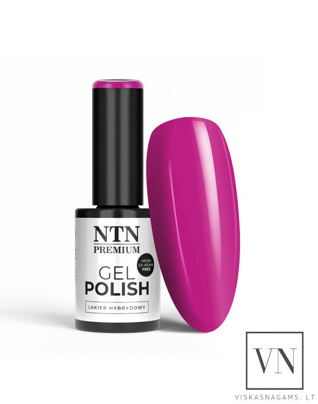 NTN gelinis lakas, Nr.293