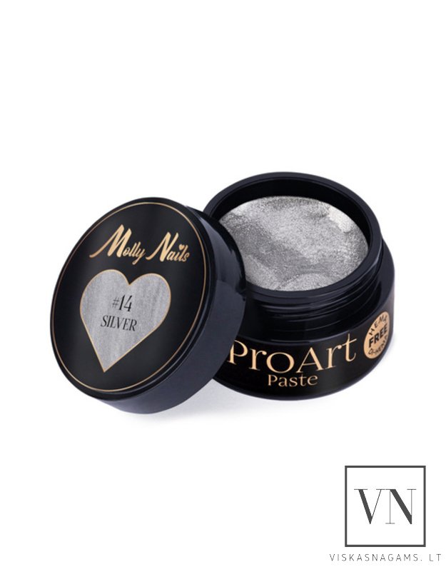 PROART dekoravimo pasta SILVER, Nr.14 3