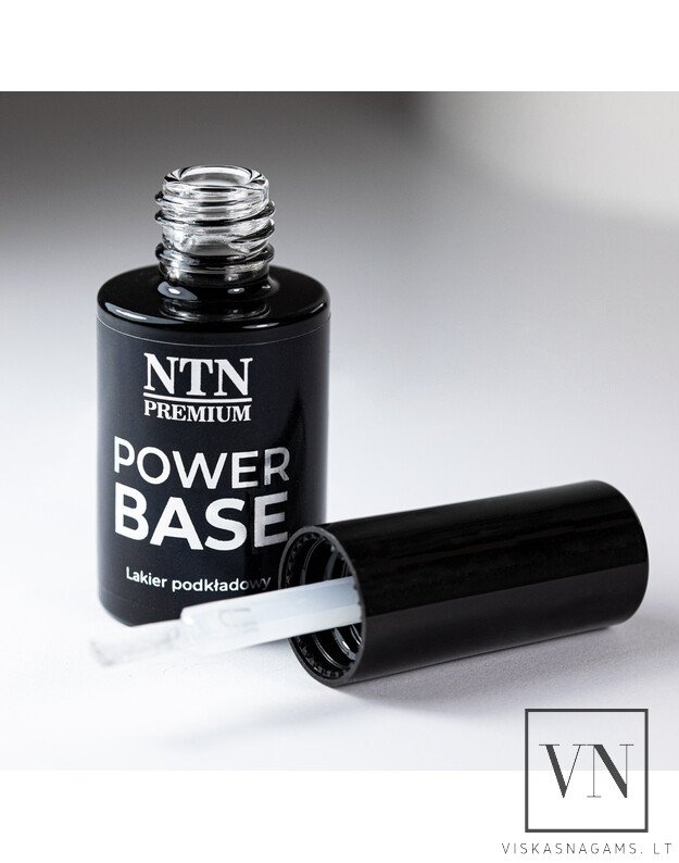 NTN PREMIUM POWER BASE bazė, 7g 1