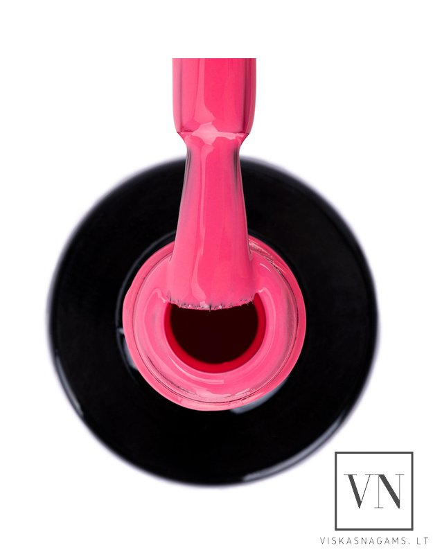 NTN gelinis lakas, Nr.343 2