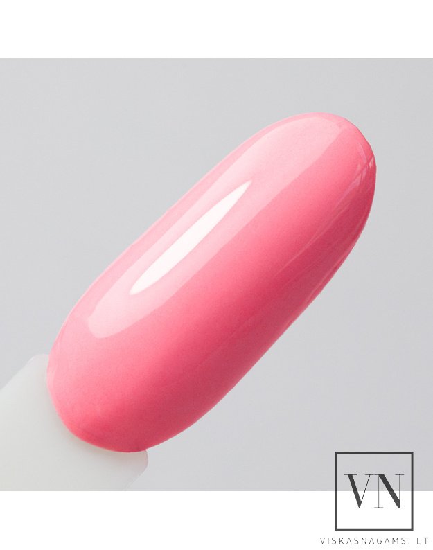 NTN gelinis lakas, Nr.385 1