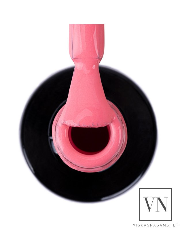 NTN gelinis lakas, Nr.385 2