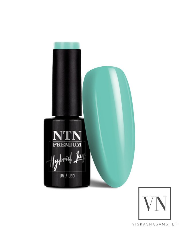 NTN PREMIUM gelinis lakas, Nr.08