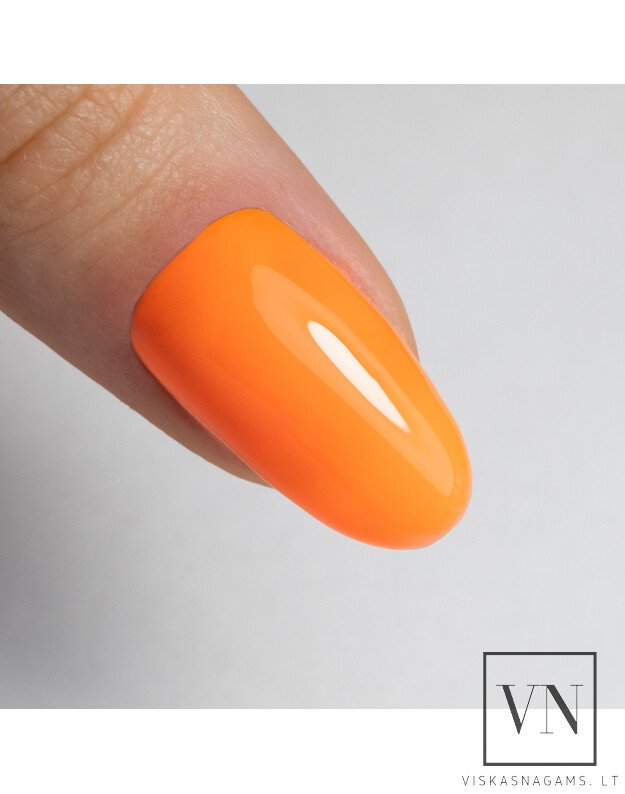 NTN PREMIUM NEON RUBBER BASE elastinga kaučiukinė bazė, Nr.7 2