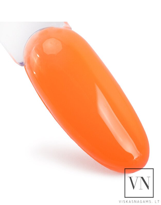 NTN PREMIUM NEON RUBBER BASE elastinga kaučiukinė bazė, Nr.7 1