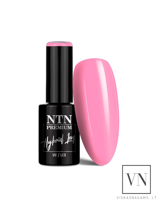 NTN gelinis lakas, Nr.386