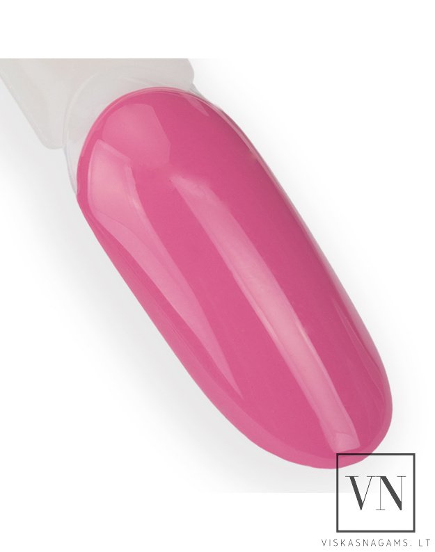 NTN gelinis lakas, Nr.21 2