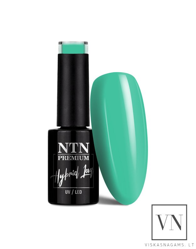 NTN PREMIUM gelinis lakas, Nr.163