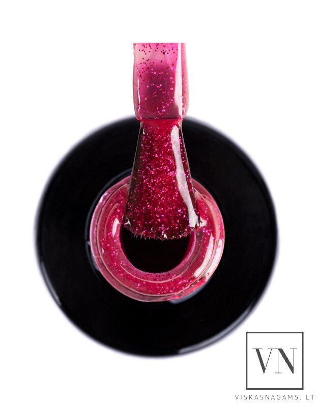 NTN gelinis lakas, Nr.205 1