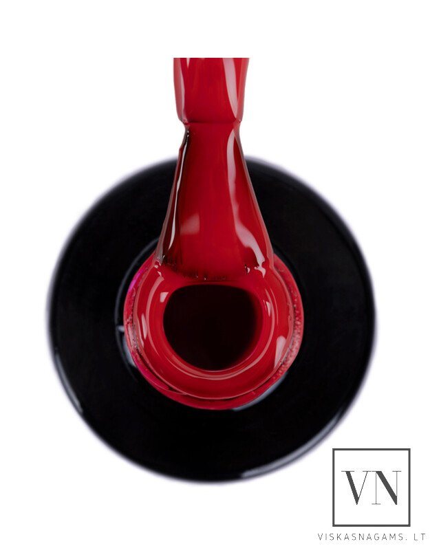 NTN gelinis lakas, Nr.295 1