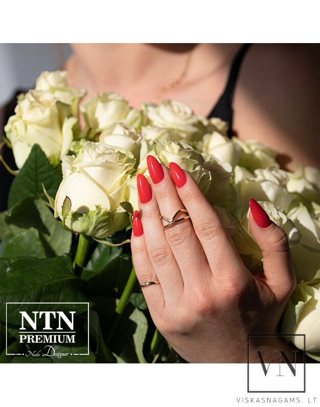 NTN gelinis lakas, Nr.295 2