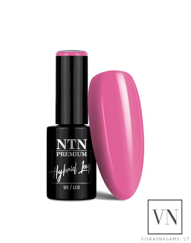 NTN gelinis lakas, Nr.387