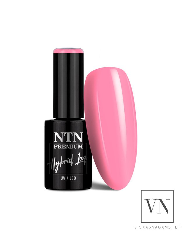 NTN PREMIUM gelinis lakas, Nr.33