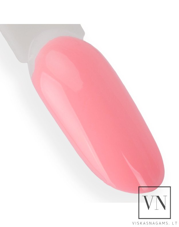 NTN gelinis lakas, Nr.141 2