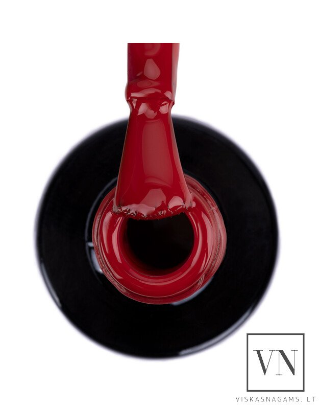 NTN gelinis lakas, Nr.103 1