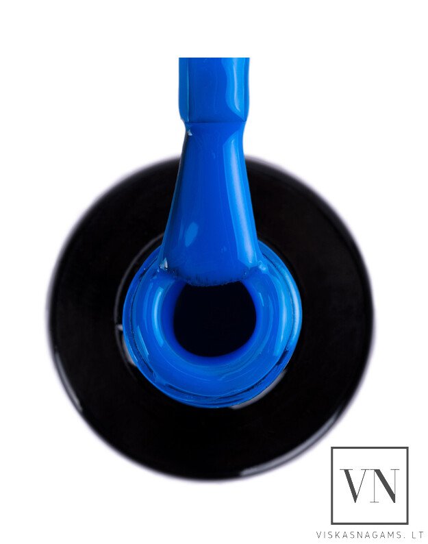 NTN gelinis lakas, Nr.287 1