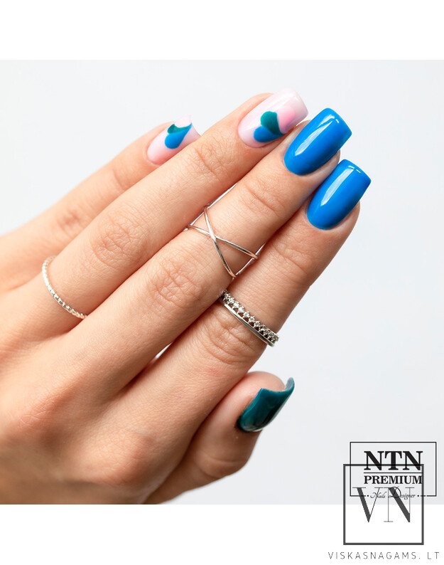 NTN gelinis lakas, Nr.287 2