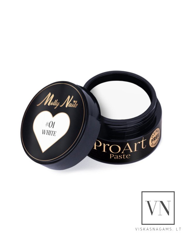 PROART dekoravimo pasta WHITE, Nr.01 3