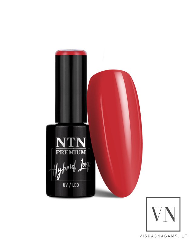 NTN gelinis lakas, Nr.395