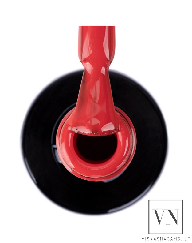 NTN gelinis lakas, Nr.395 2