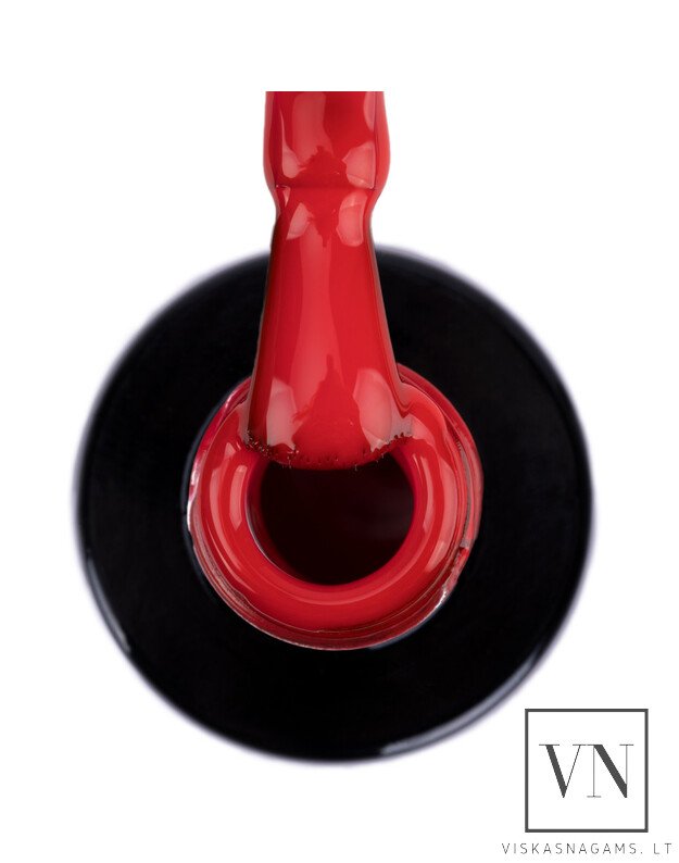 NTN gelinis lakas, Nr.66 1