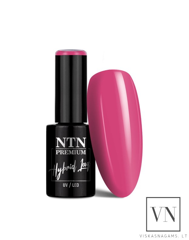 NTN gelinis lakas, Nr.349