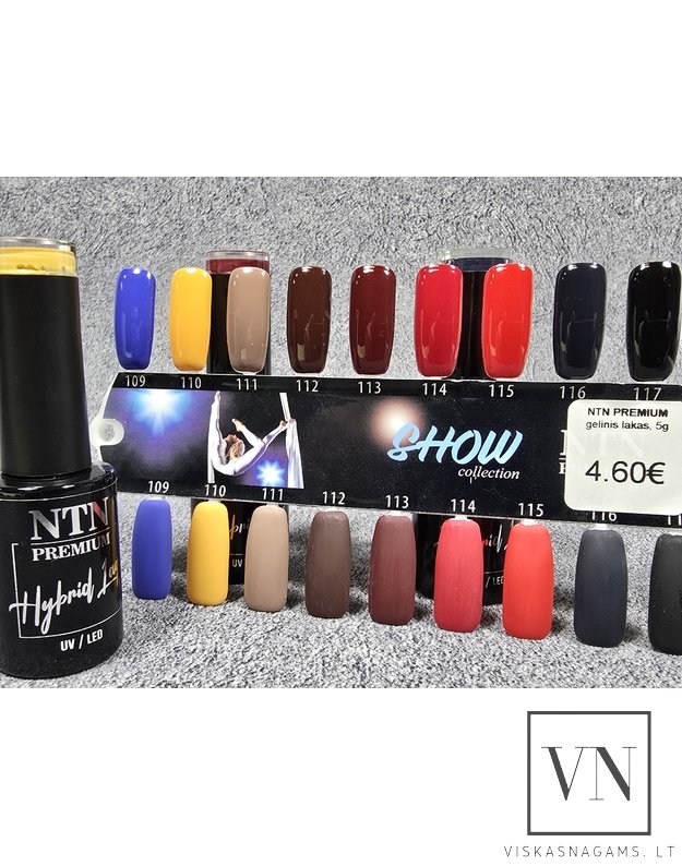 Gelinis lakas  NTN PREMIUM, Nr.109
