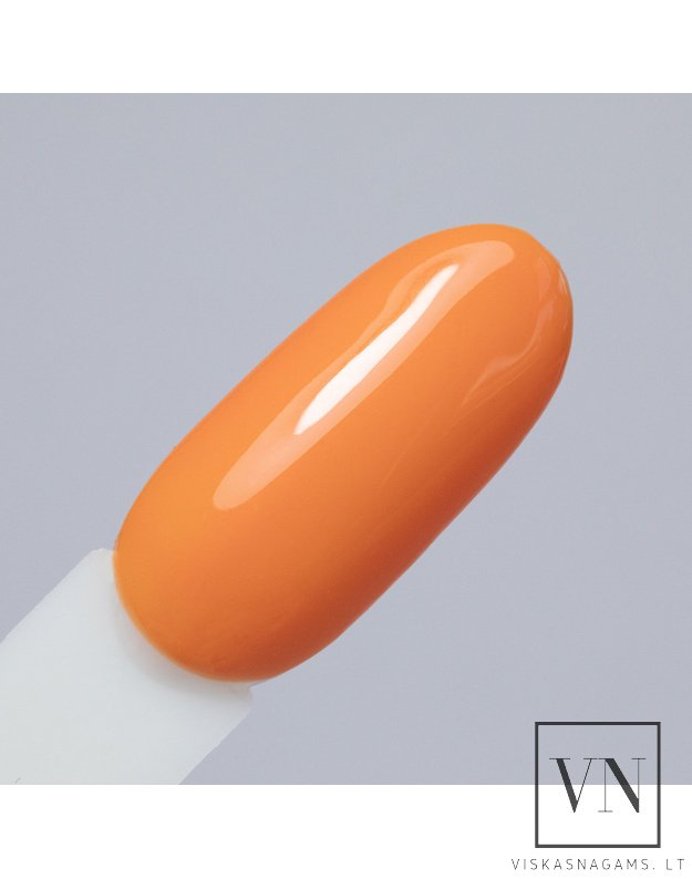 NTN gelinis lakas, Nr.336 1