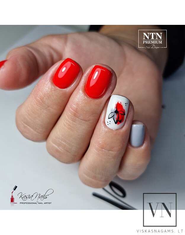 NTN gelinis lakas, Nr.126 2