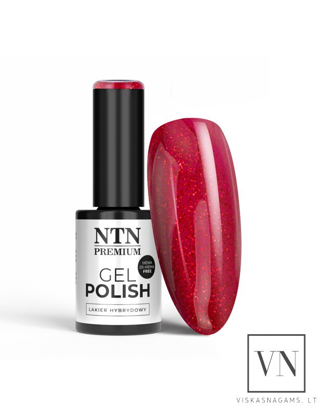 NTN gelinis lakas, Nr.213