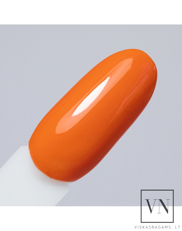 NTN gelinis lakas, Nr.337 1