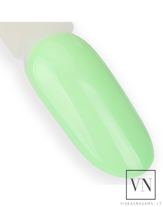 NTN gelinis lakas, Nr.138 2