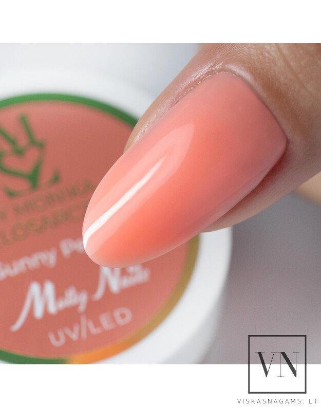 MOLLY NAILS BY MONIKA SUNNY PEACH savaime išsilyginantis gelis, 15g 1