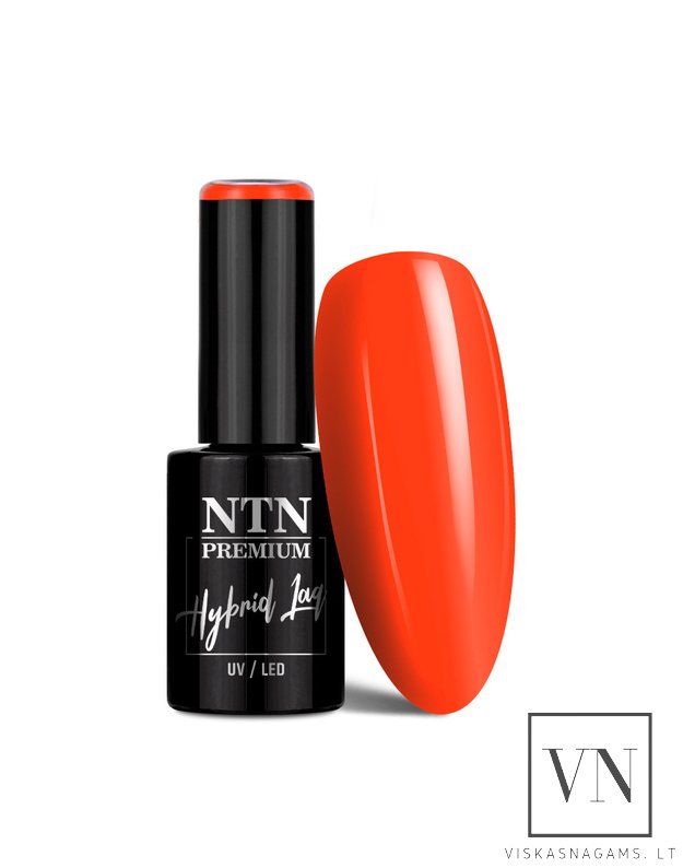 NTN gelinis lakas, Nr.338