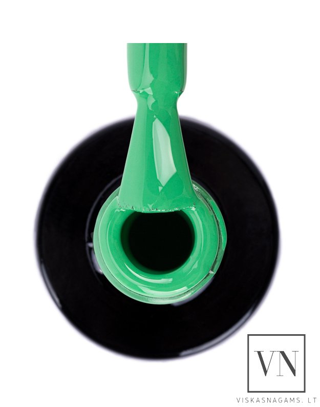 NTN gelinis lakas, Nr.371 2