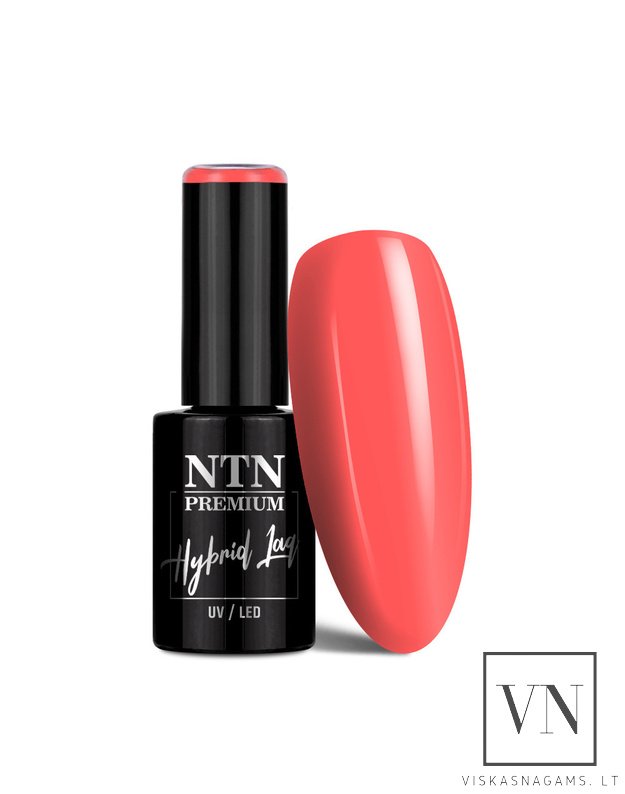 NTN PREMIUM gelinis lakas, Nr.164