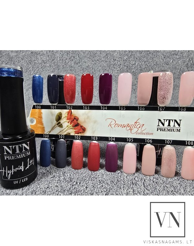 Gelinis lakas  NTN PREMIUM, Nr.101