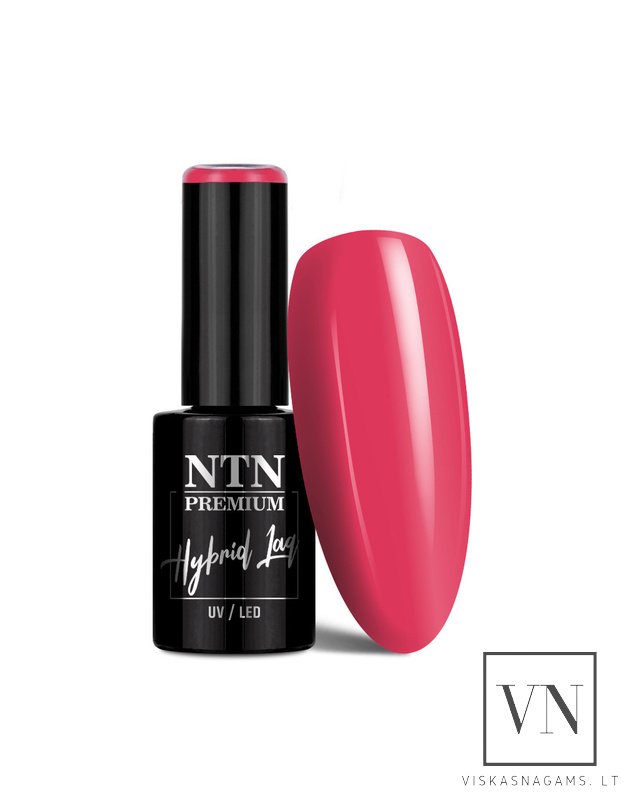 NTN gelinis lakas, Nr.341