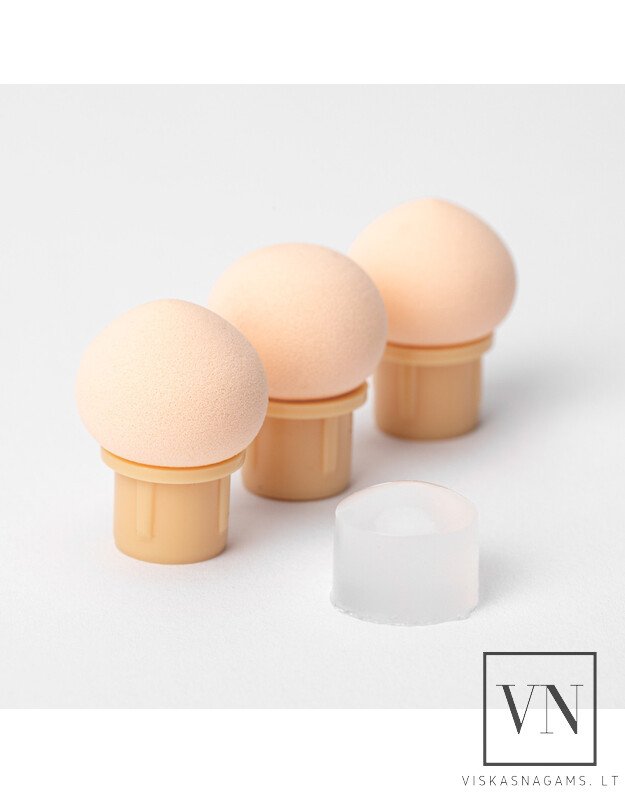 Teptukas su keičiamomis kempinėlėmis ir  štampuoklis OMBRE 1