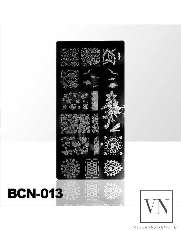 Nagų štampavimo plokštelė Nr. BCN-013